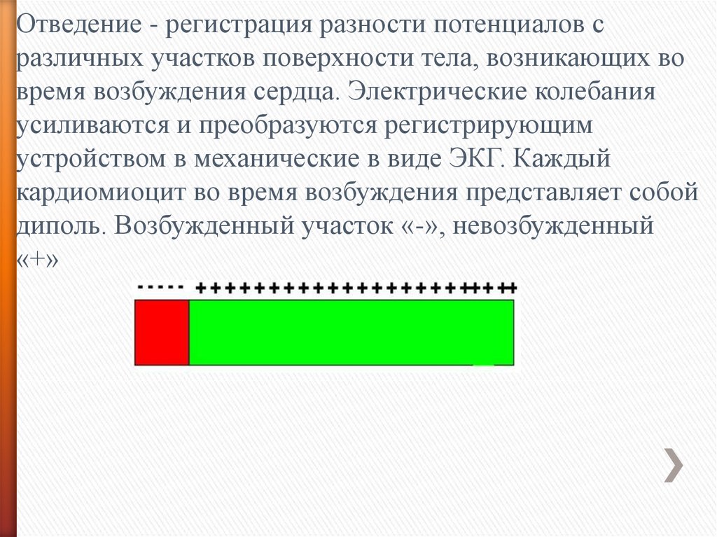 Отведения регистрирующее разность потенциалов