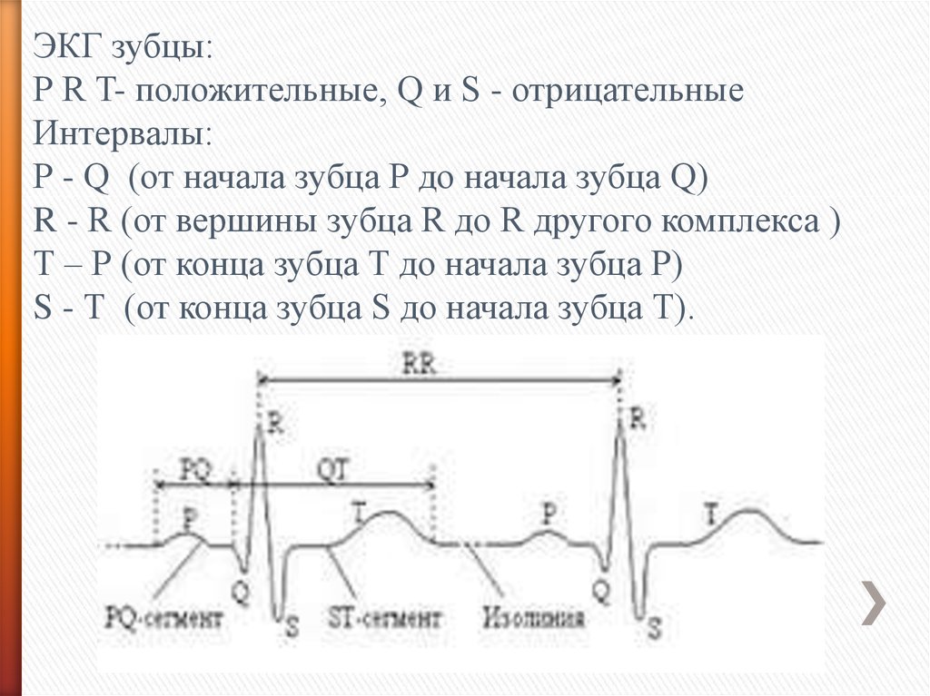 Происхождение зубца r на экг связано с