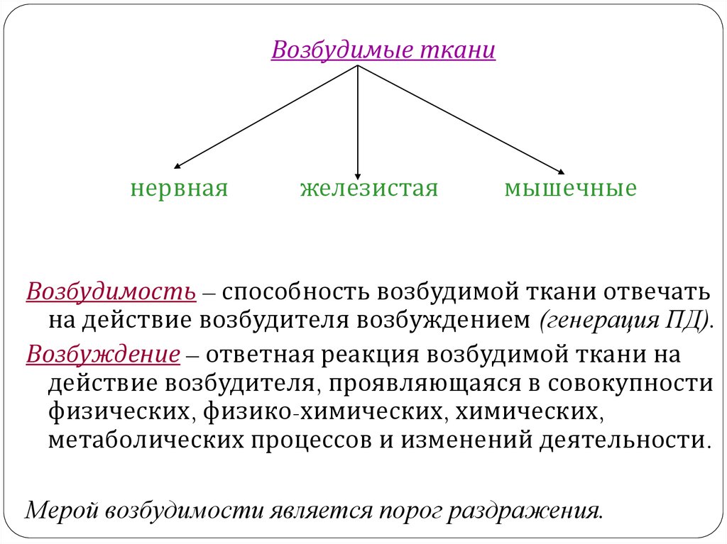 Мышечная сократимость нервная возбудимость. Типы возбудимых тканей. Физиология возбудимых тканей физиология. Основные состояния возбудимых тканей. Возбудимые ткани нервная мышечная железистая.