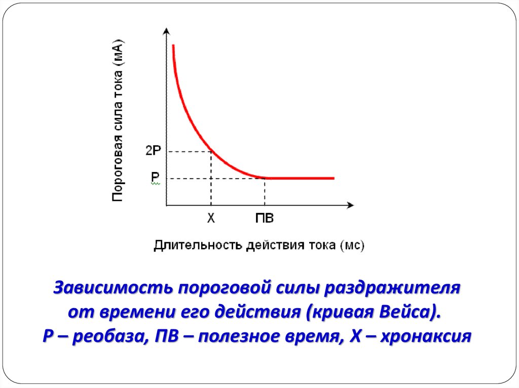 Время действия силы. График реобазы и хронаксии. Хронаксия физиология график. Реобаза это в физиологии. График реобаза график хронаксия.