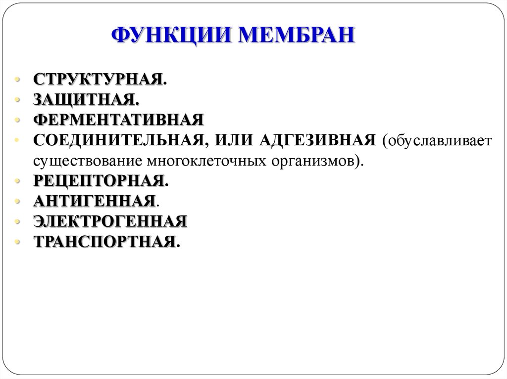 Функции мембраны физиология. Электрогенная функция мембран. Адгезивная функция мембран. Функции диафрагмы. Антигенная функция мембраны.