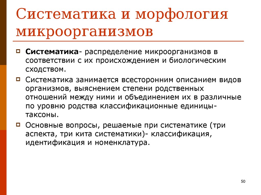 Основным руководством по систематике микроорганизмов является