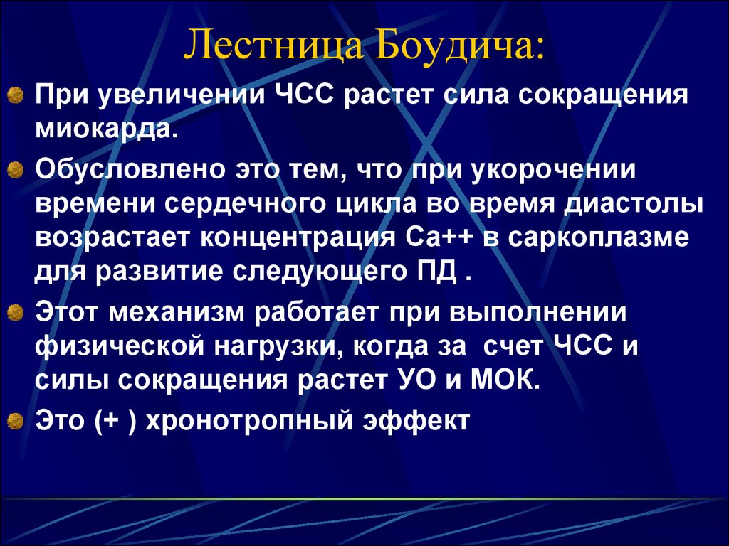 Является ступенями. Лестница Боудича. Феномен лестницы Боудича. Лестница Боудича физиология. Лестница Боудича механизм.