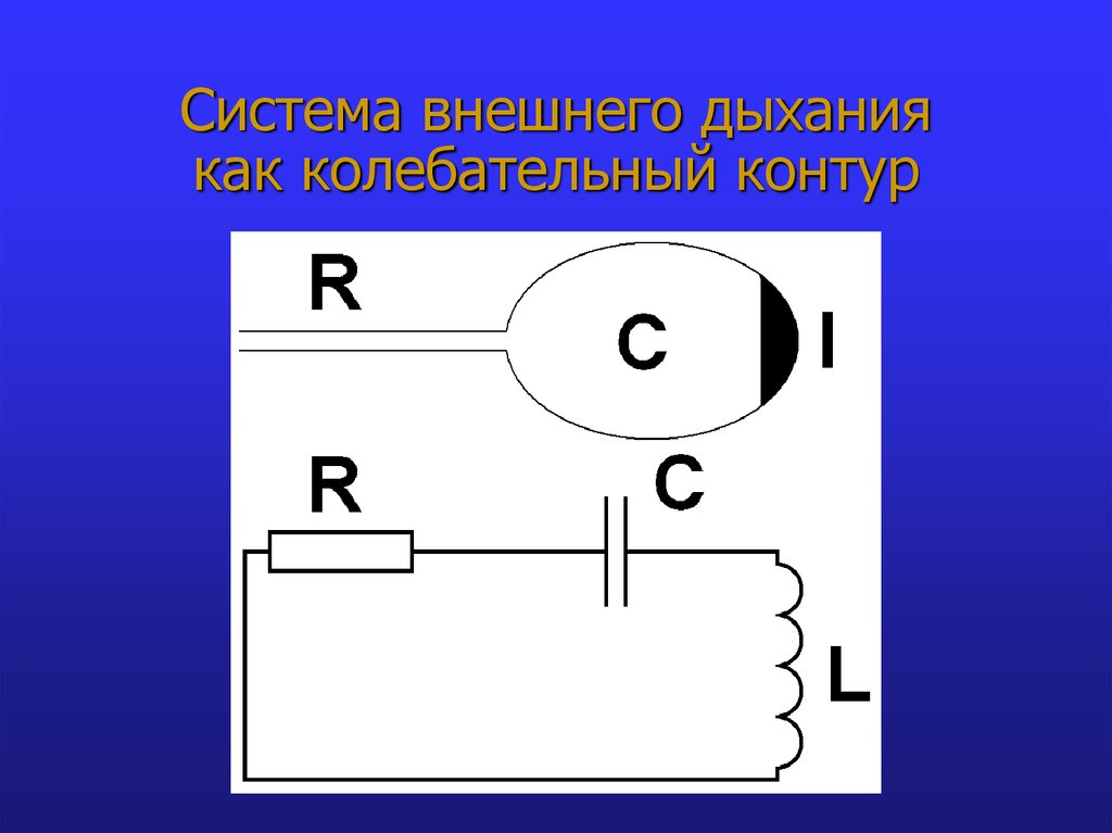 Биомеханика внешнего дыхания презентация