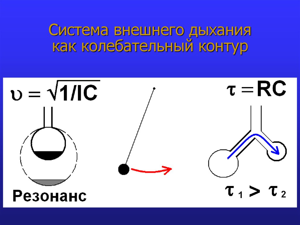 Биомеханика внешнего дыхания презентация