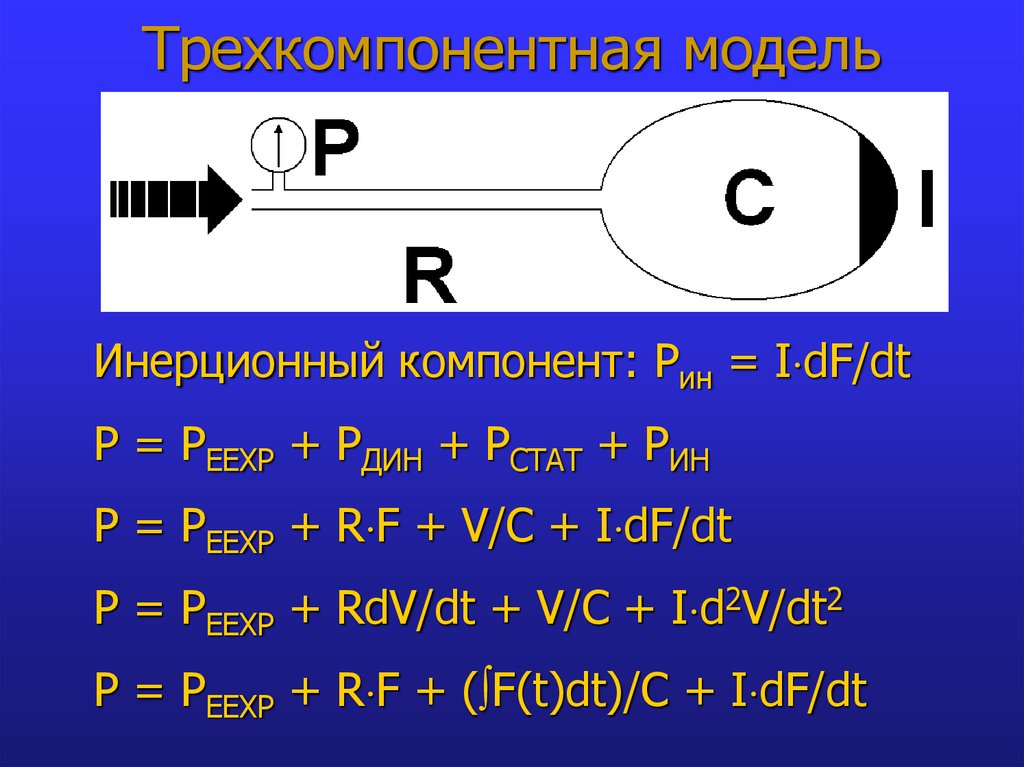 Биомеханика внешнего дыхания презентация