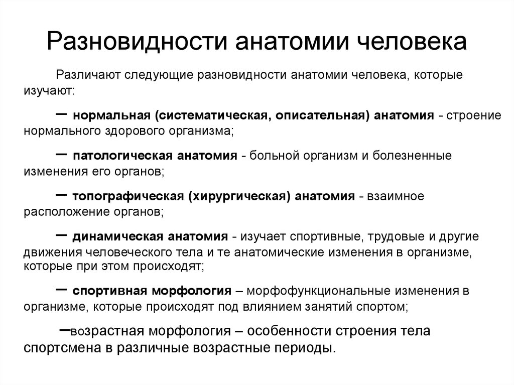 Анатомия изучает. Основные разделы анатомии. Виды анатомии систематическая. Виды анатомии описательная.