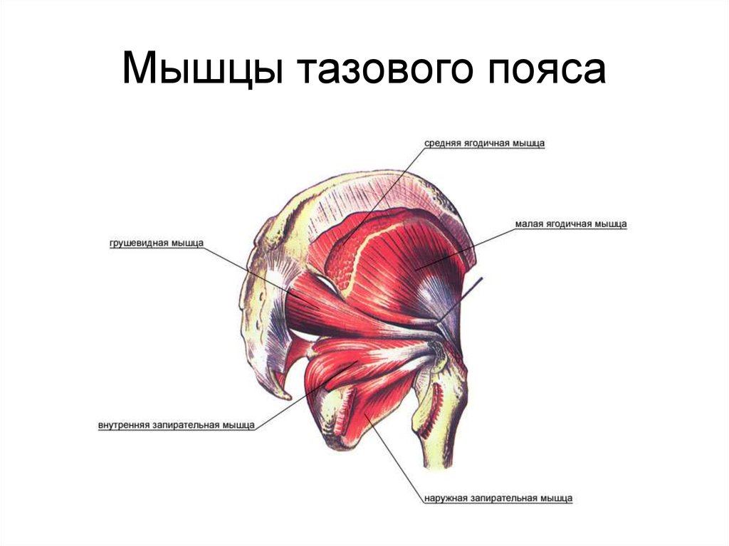 Внутренняя область