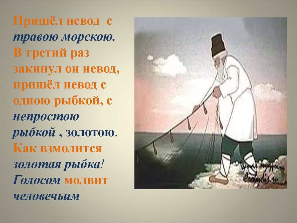 Рыбка из рыбака и рыбки характеристика. Пришел невод с травою морскою. Золотая рыбка дед с неводом. Проект сказка о рыбаке и рыбке. Невод с травой морскою.