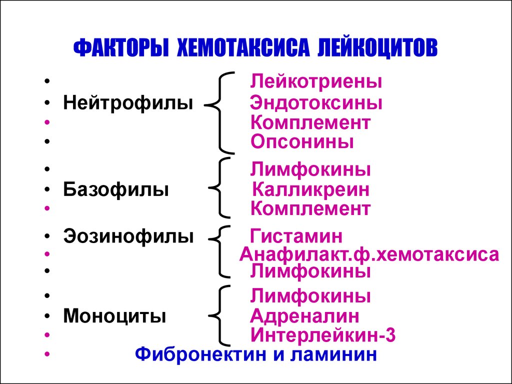 Факторы хемотаксиса. Фактор хемотаксиса нейтрофилов. Факторы хемотаксиса лейкоцитов. Фактор хемотаксиса эозинофилов это.