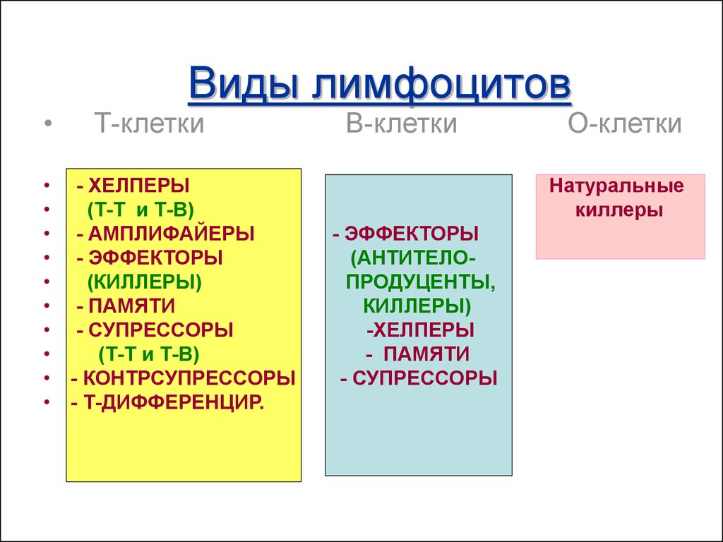 Виды т. Виды лимфоцитов. Виды т лимфоцитов. Типы т лимфоцитов. Лимфоциты виды и функции.