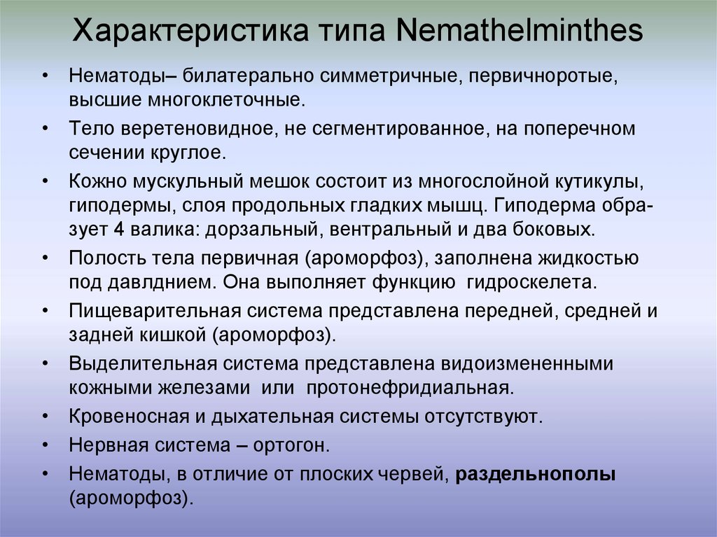 Общая характеристика круглых червей. Нематоды характеристика. Нематоды характеристика кратко. Круглые черви класс нематоды характеристика. Тип круглые черви класс нематоды общая характеристика.