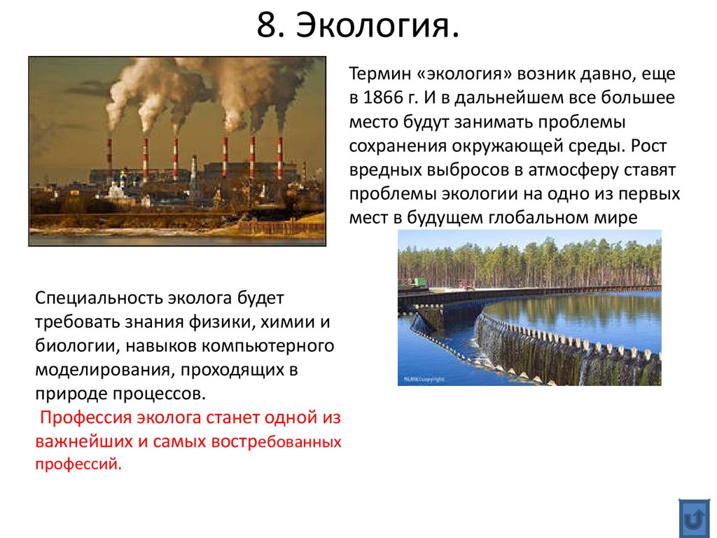 Термин экология. Когда появились экологические проблемы. Как возникает экологическая ситуация.