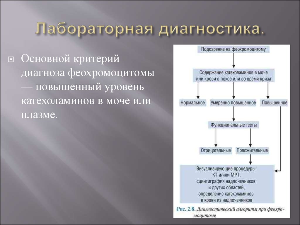 Патогенез феохромоцитомы схема