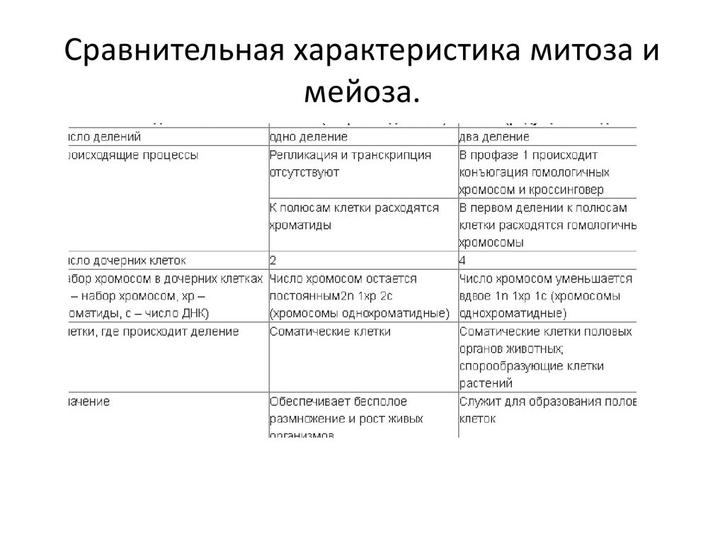 Сравнительная характеристика митоза и мейоза таблица. Сравнительная характеристика процессов амитоза митоза мейоза. Сравнительная характеристика процессов митоза и мейоза таблица. Митоз и мейоз таблица параметры для сравнения. Признаки для сравнения митоза и мейоза таблица.