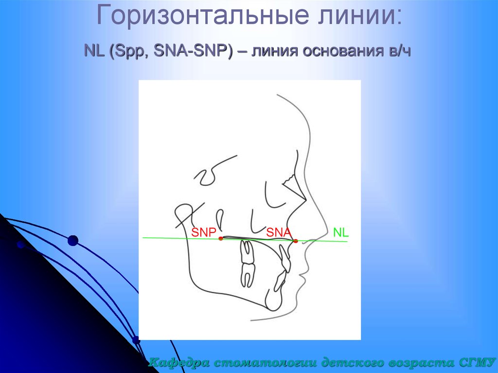 Анализ трг