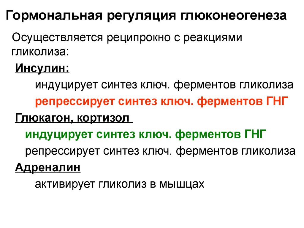 Гормональная регуляция. Гормоны регулирующие глюконеогенез. Регуляция глюконеогенеза гормонами. Активаторы глюконеогенеза гормоны. Аллостерические механизмы регуляции глюконеогенеза.