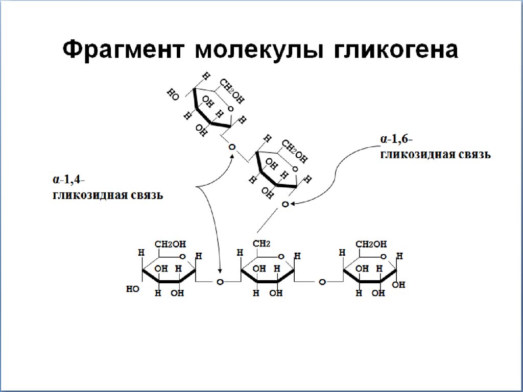 Напишите фрагмент. Строение фрагмента молекулы гликогена. Фрагмент структуры гликогена. Фрагмент строения гликогена. Фрагмент молекулы гликогена.