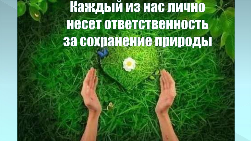 Сохранение зависит от. Ответственность за природу. Сохранение природы обязанность. Ответственность человека за сохранение природы. Каждый человек ответственен за природу.