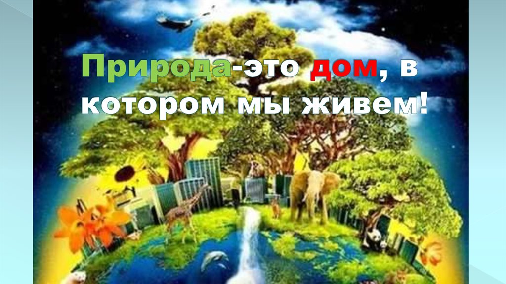 Природа-это дом, в котором мы живем!