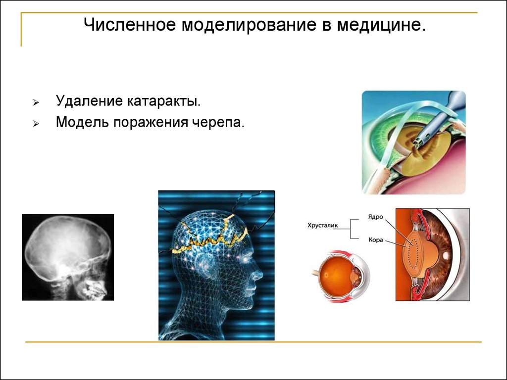 Компьютерное моделирование в медицине презентация