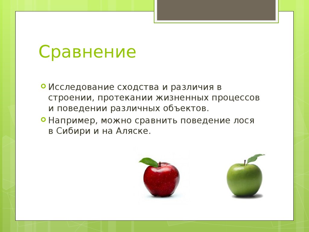 С чем можно сравнить класс. Метод сравнения в биологии 5 класс. Метод исследует сходства и различия в строении. Сравнение это метод исследования в биологии 5 класс. Что можно сравнить в биологии.