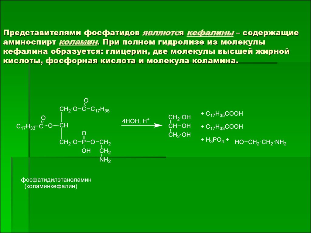 При щелочном гидролизе метилпропионата образуются. Кефалин формула строение. Кислотный и щелочной гидролиз фосфатидной кислоты. Гидролиз фосфатидной кислоты. Полный гидролиз фосфатидилэтаноламина.