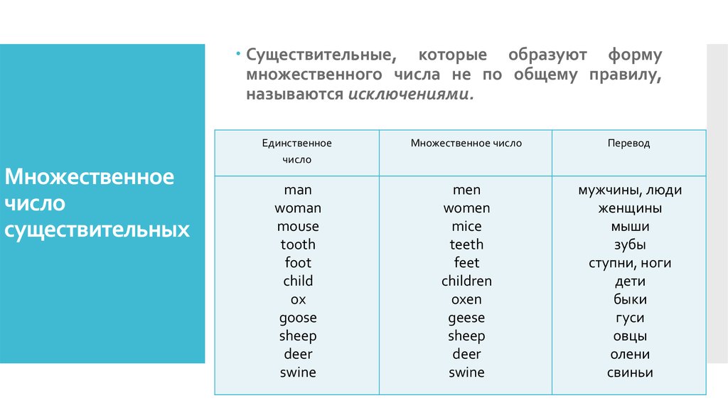 Поставьте существительные во множественное число branch fox day apple head habit nationality