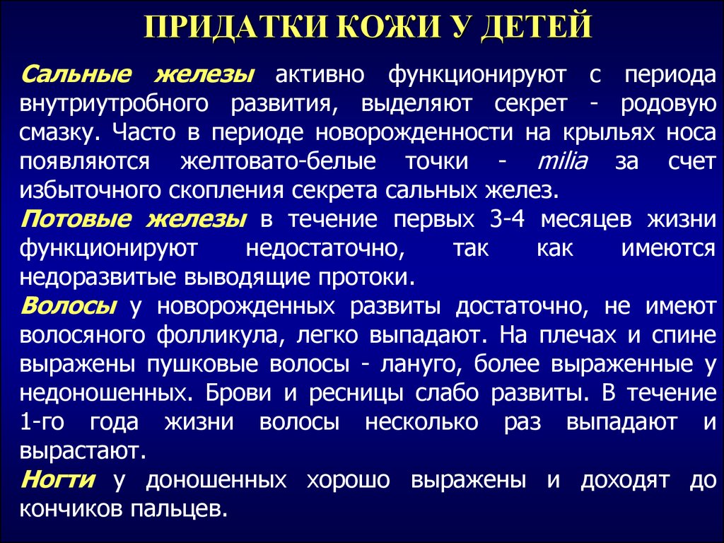 Афо кожи. Придатки кожи у детей. Перечислите придатки кожи. Особенности придатков кожи. Функции придатков кожи.