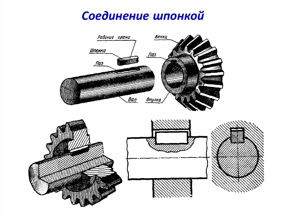 Соединение предназначено. Шпоночное соединение на валу. Соединение зубчатого колеса с валом шпонкой. Шпонка для соединения валов на схеме. Шпоночные и шлицевые соединения схема.