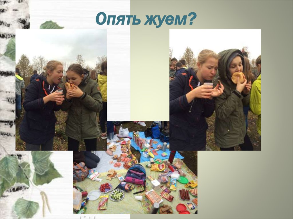 Опять жуем?