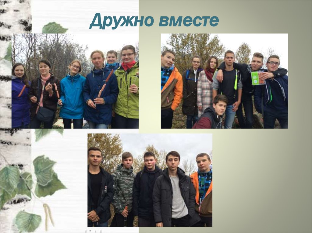 Дружно вместе