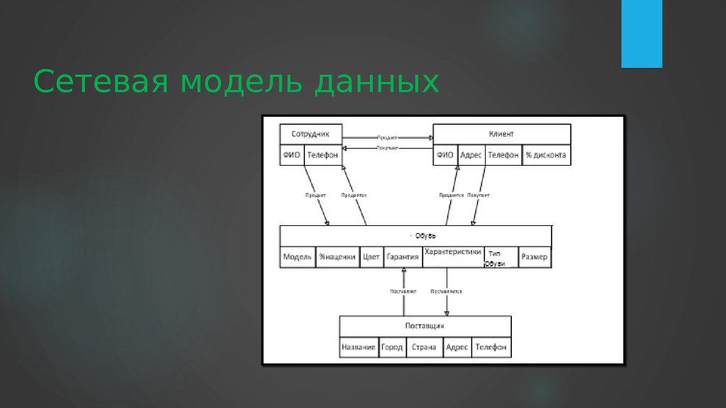 Сетевая модель данных