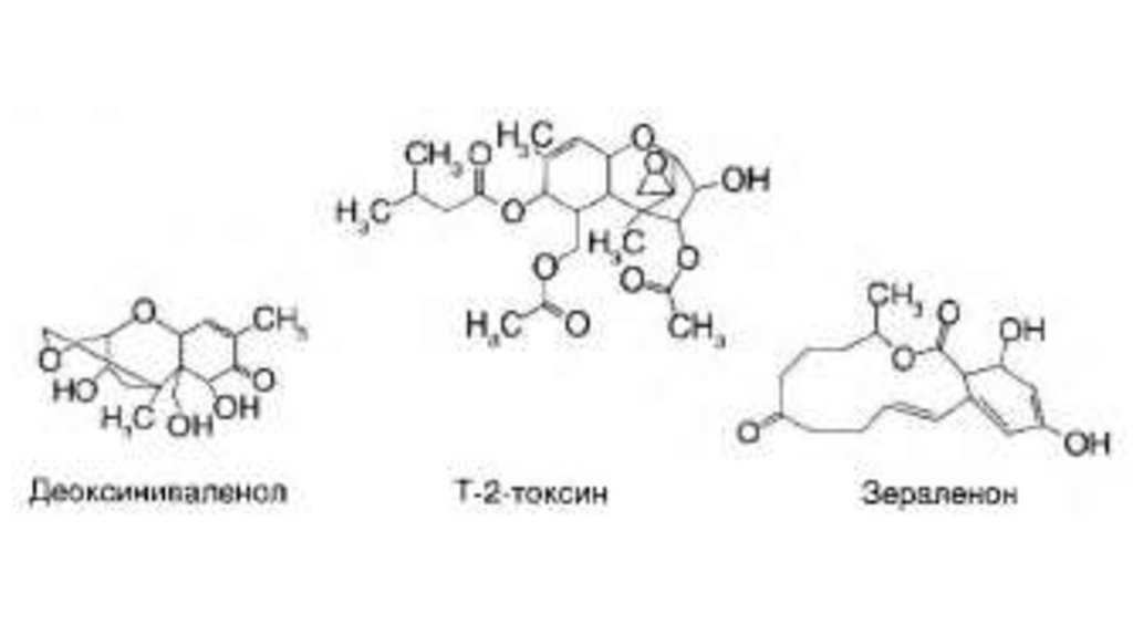 Токсин инструкция. Токсины это формула. Т-2 Токсин. Лямбда Токсин. Реакция на Токсин т2.