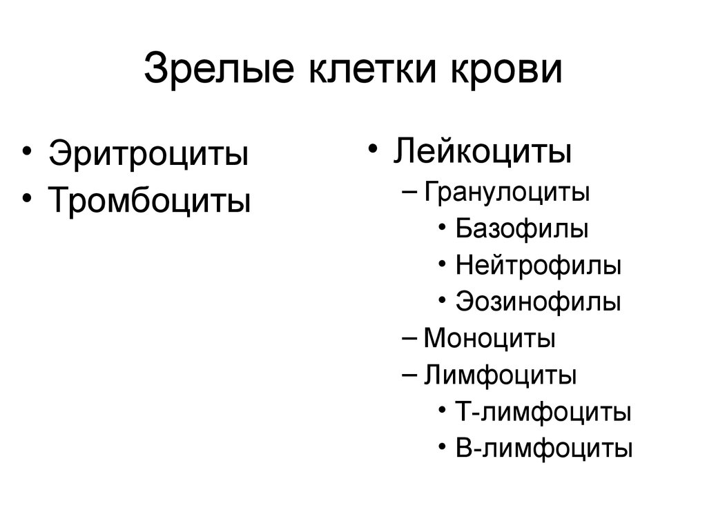 Зрелые клетки. Зрелые клетки крови. Зрелость клеток это. Определение зрелые клетки.