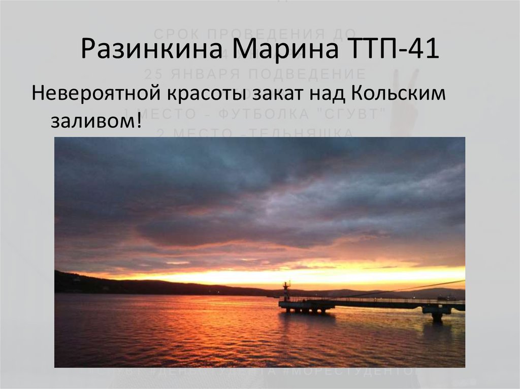 Разинкина Марина ТТП-41