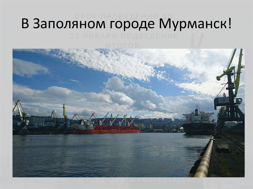 В Заполяном городе Мурманск!