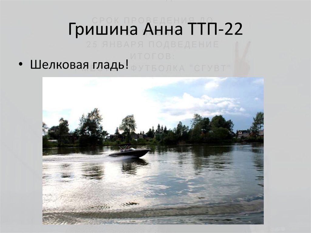 Гришина Анна ТТП-22