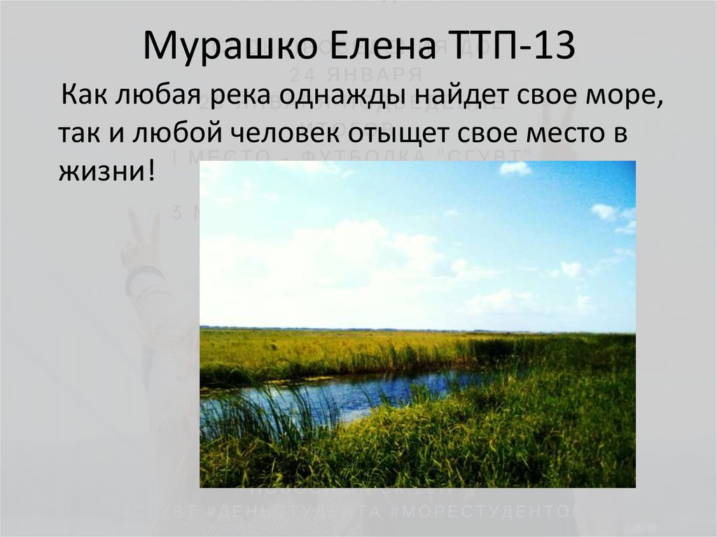 Мурашко Елена ТТП-13