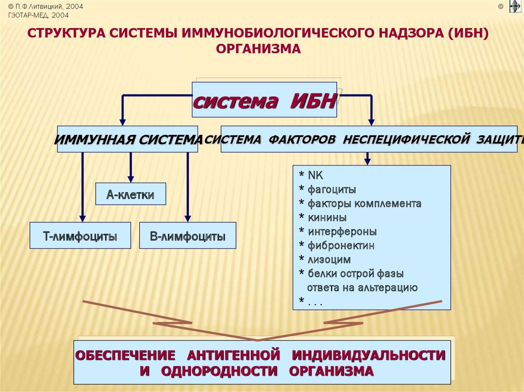 Структура роли. Структура иммунобиологического надзора (ибн). Структура иммунной системы патофизиология. Структура, функции и роль системы иммунобиологического надзора. Иммунобиологический надзор патофизиология.