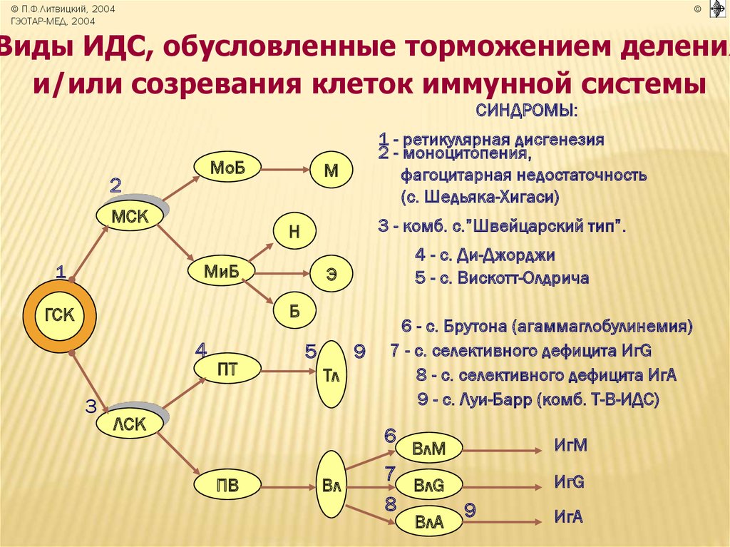 Иммунодефицитные состояния схема