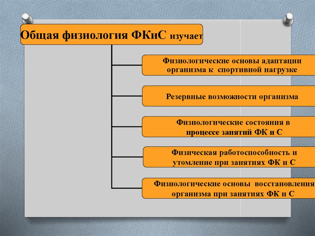 Резервные возможности. Общая физиология. Общая физиология изучает. Общая спортивная физиология изучает. Задача физиологии спортивных упражнений.