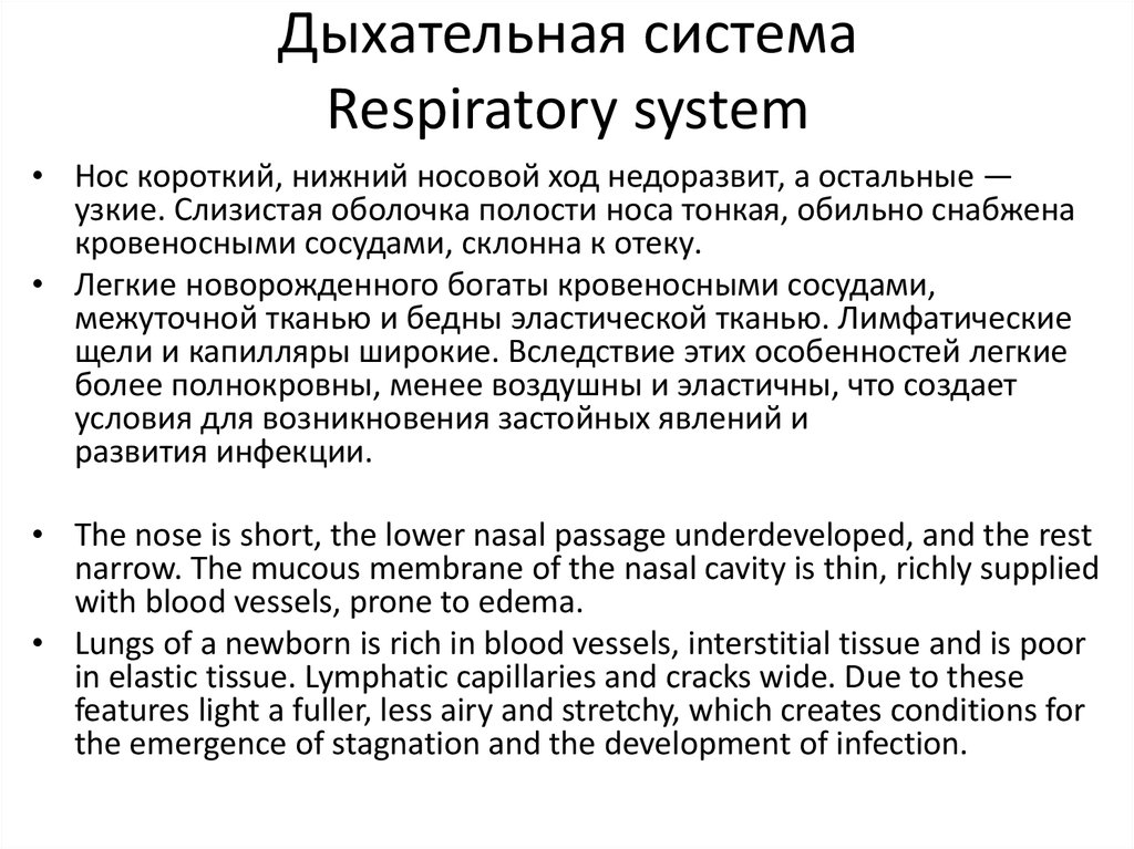 Дыхательная система Respiratory system