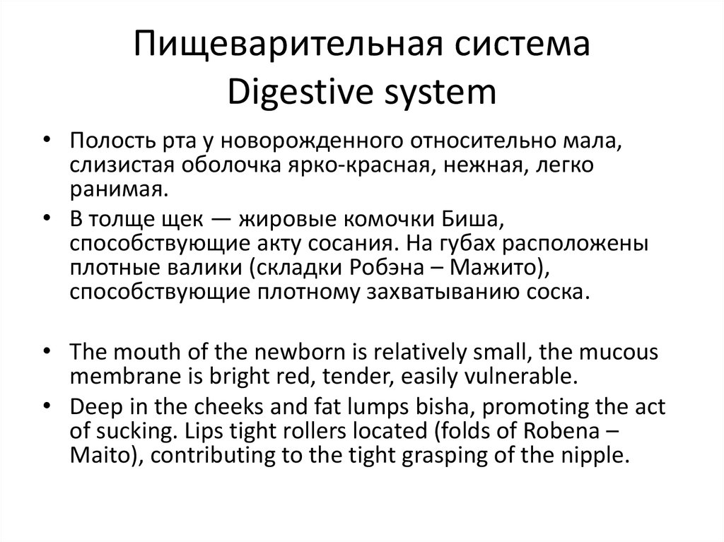 Пищеварительная система Digestive system