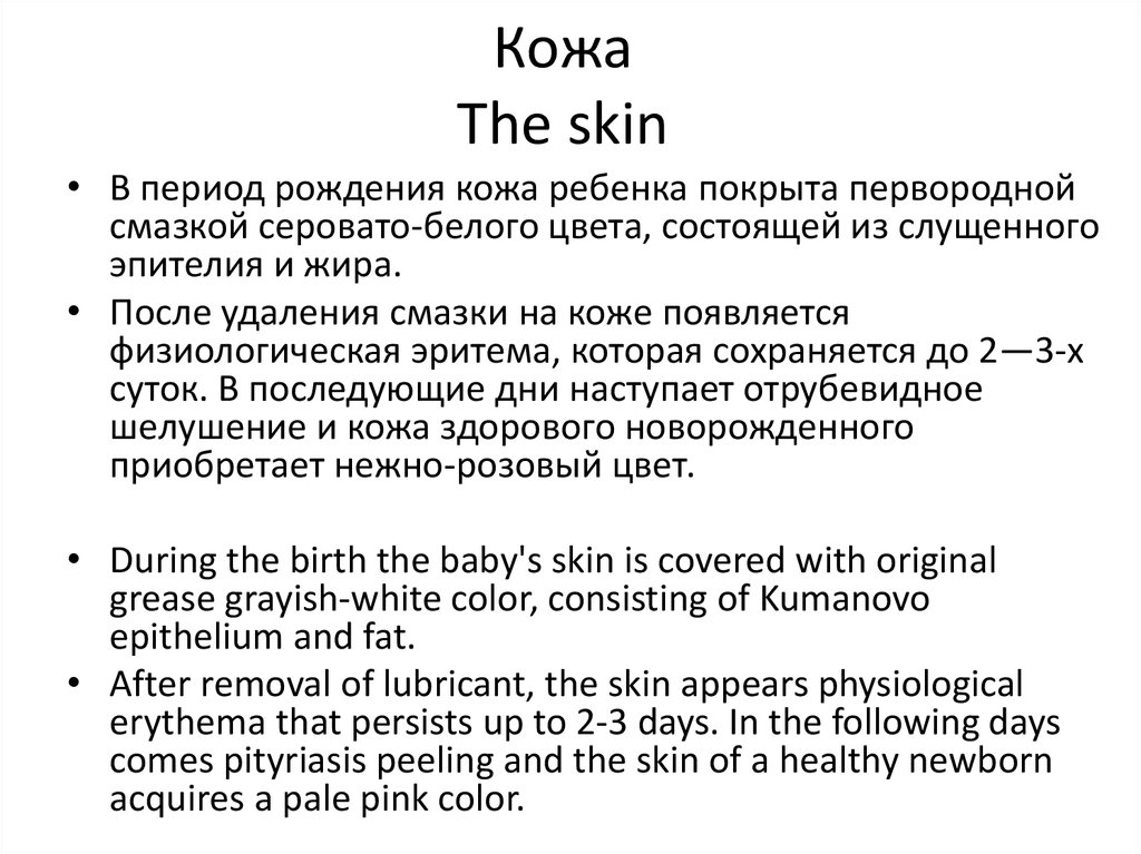 Кожа The skin