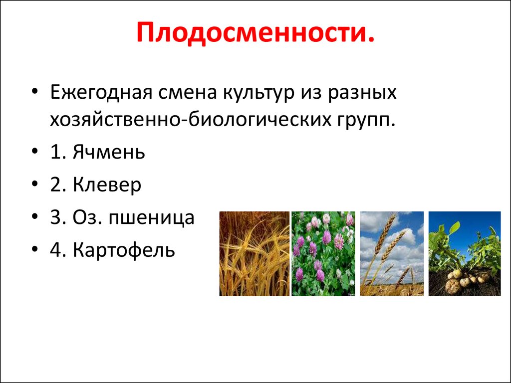 Смена культур. Типы и виды севооборотов. Сенокосно пастбищный севооборот. Хозяйственно биологические группы растений. Назовите и охарактеризуйте типы и виды севооборотов.