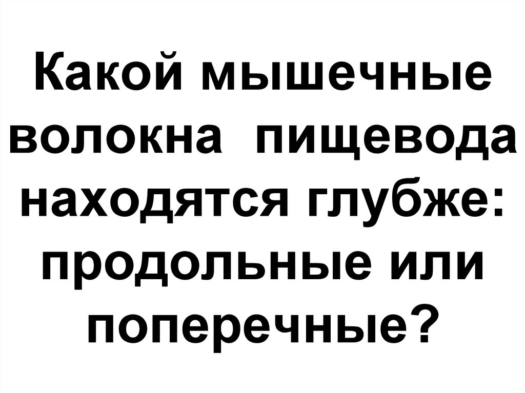 Какой мышечные волокна пищевода находятся глубже: продольные или поперечные?