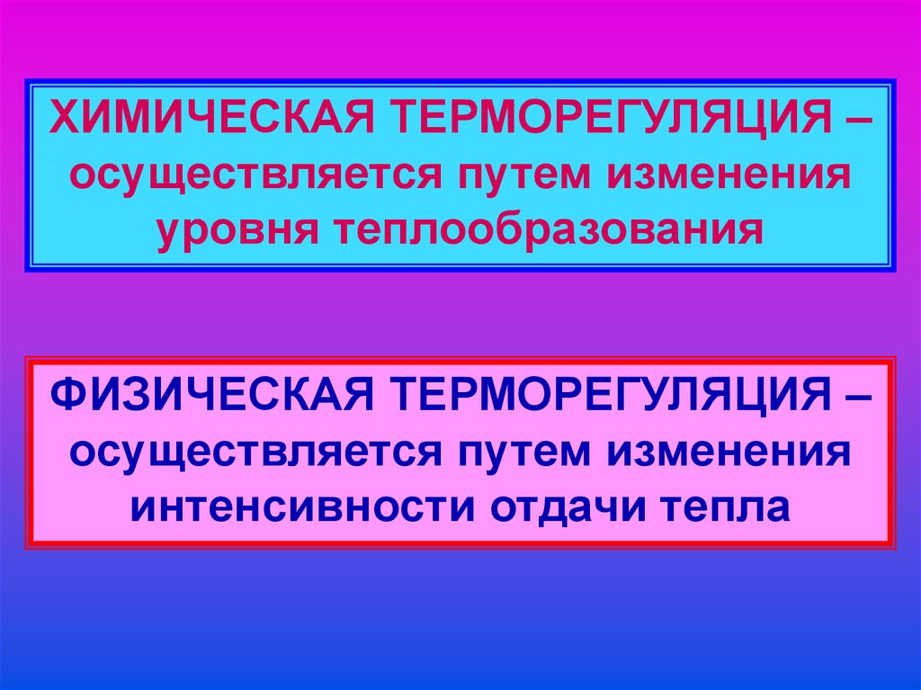 Как поддерживается терморегуляция