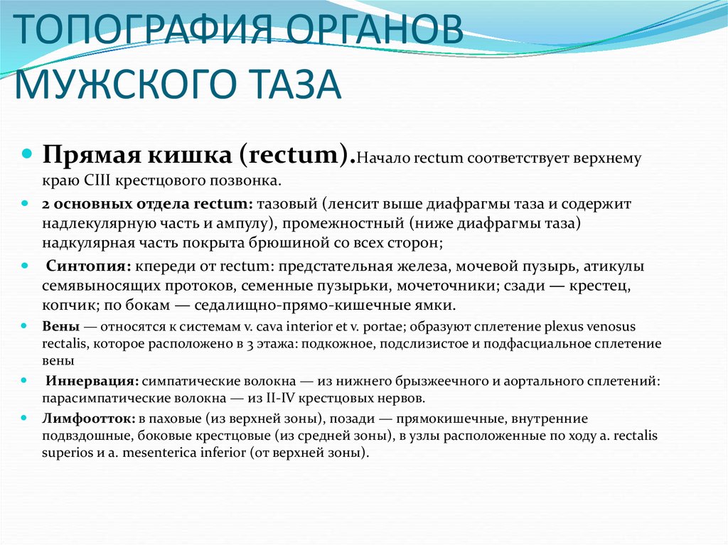 Таз топографическая анатомия