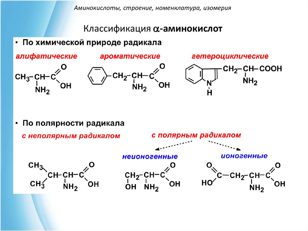 Аминокислоты аминогруппа карбоксильная группа. Аминокислоты строение и классификация. Аминокислоты принципы строения классификация. Бета аминокислоты формула. Классификация белковых аминокислот.